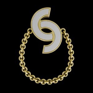 Aurum Curve Medallion Necklace 2